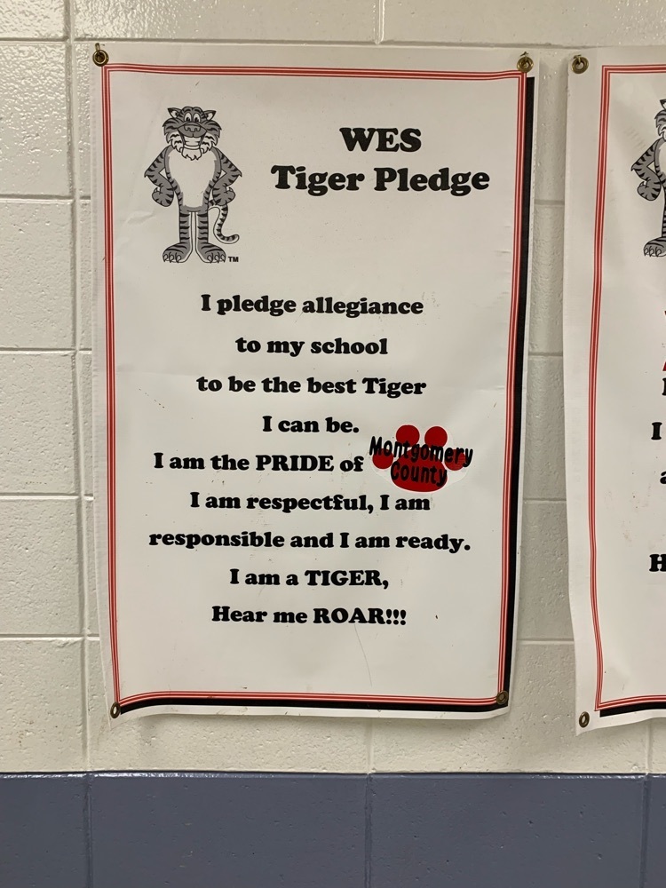 Tiger Pledge
